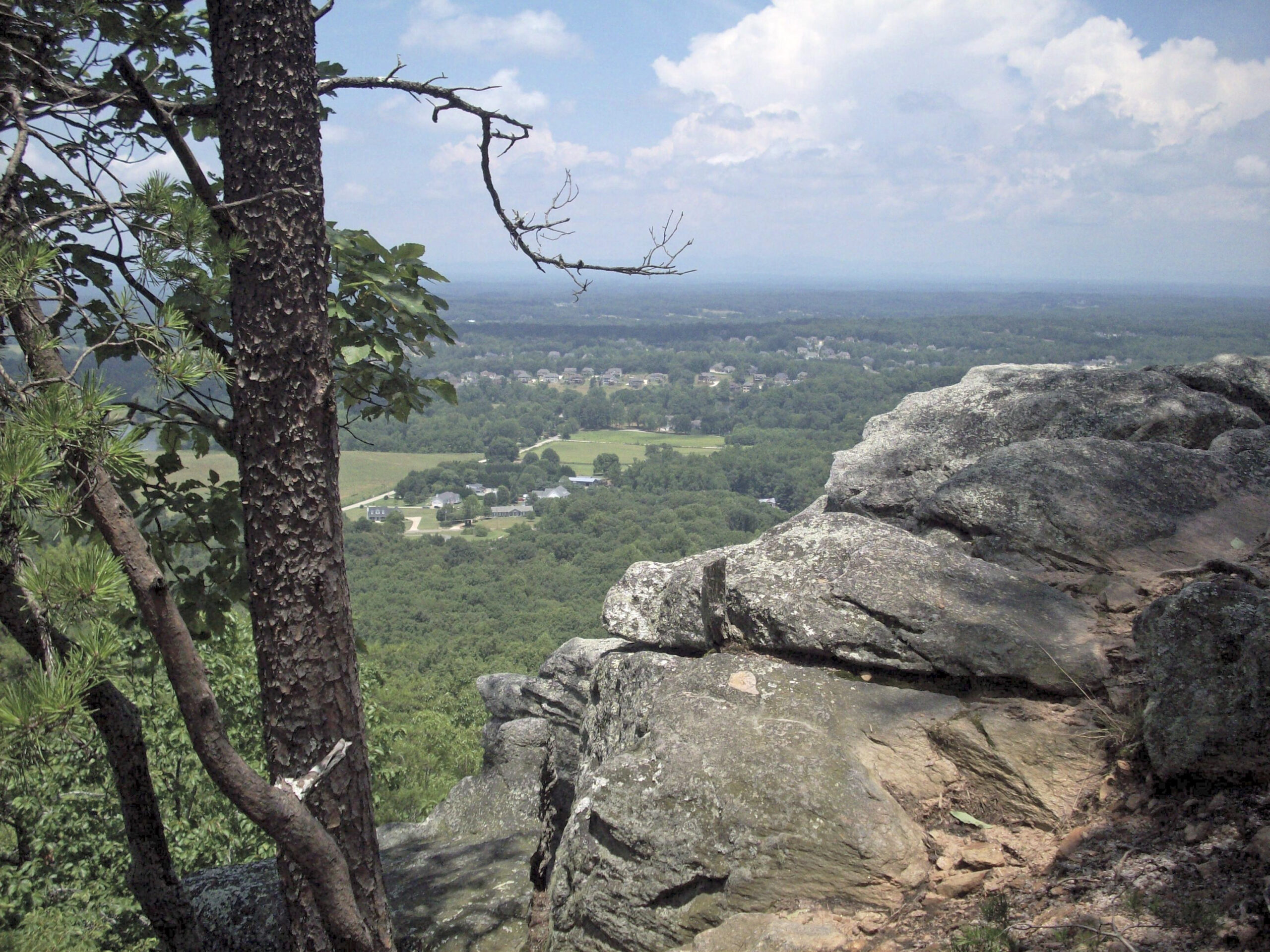 are dogs allowed at sawnee mountain