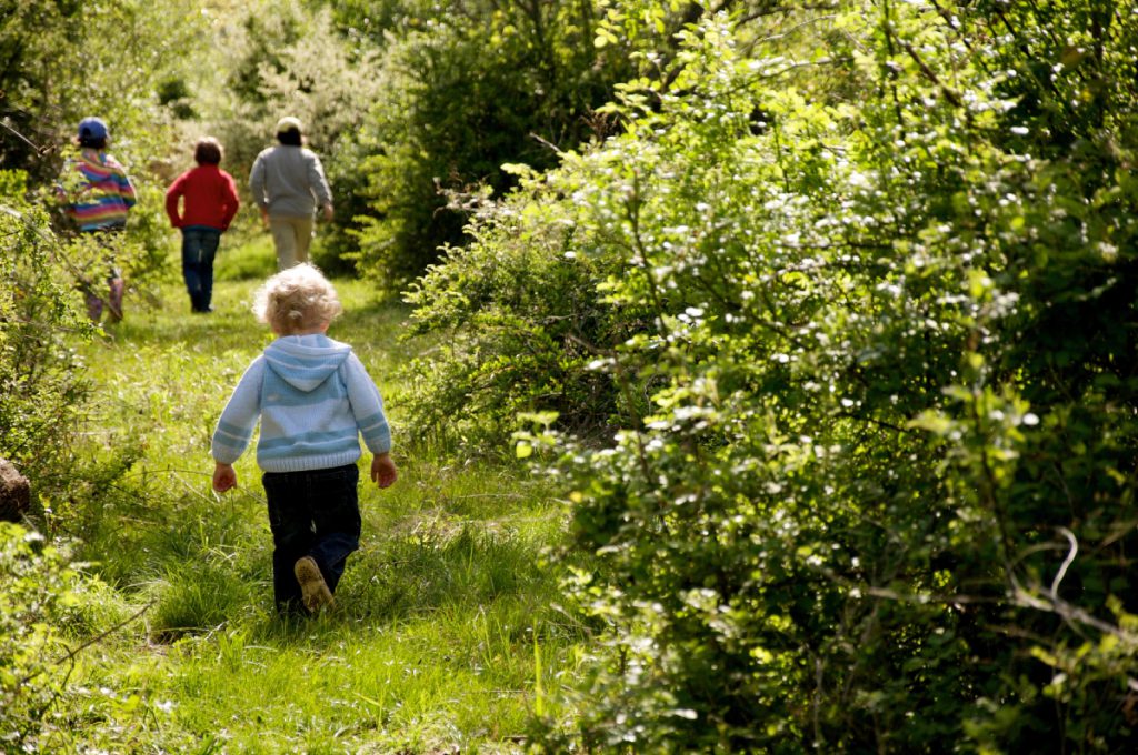 Good news: Rich past, bright future at Coogan Farm - Trust for Public Land