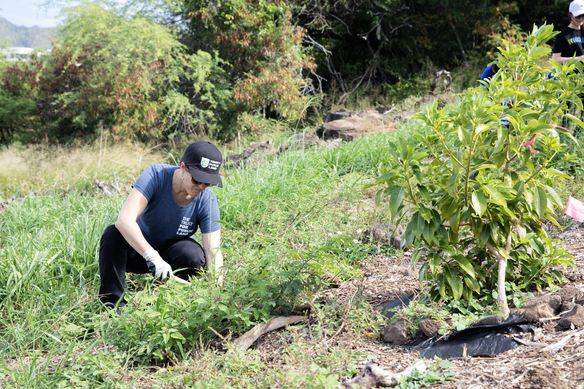 Aloha ‘Āina | Love of the Land - Our Work in